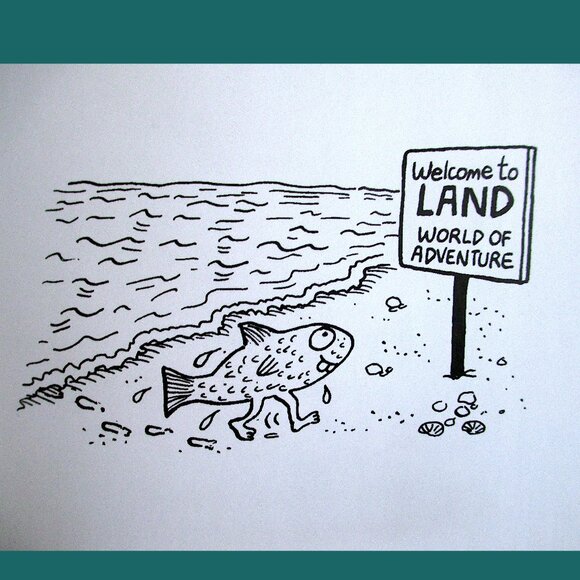 Book: A Short History of Nearly Everything by Bill Bryson - Picture 7 of 15